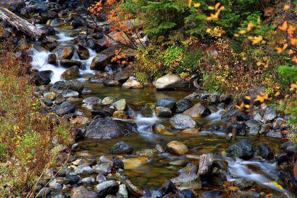 istock Autumn in the Cascades 1735652345
