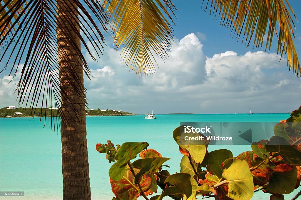 Oasis Tropical - Foto de stock de Isla San Vicente libre de derechos