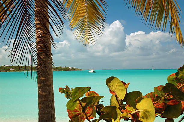 Palm fronds and tropical vegetation frame a boat in a lovely turquoise bay. Setting sun is casting a warm glow on leaves.