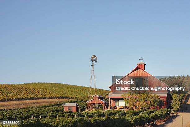 Azienda Vinicola Uva Di Vigneto Edificio Agricolo - Fotografie stock e altre immagini di Azienda vinicola - Azienda vinicola, Napa Valley, California