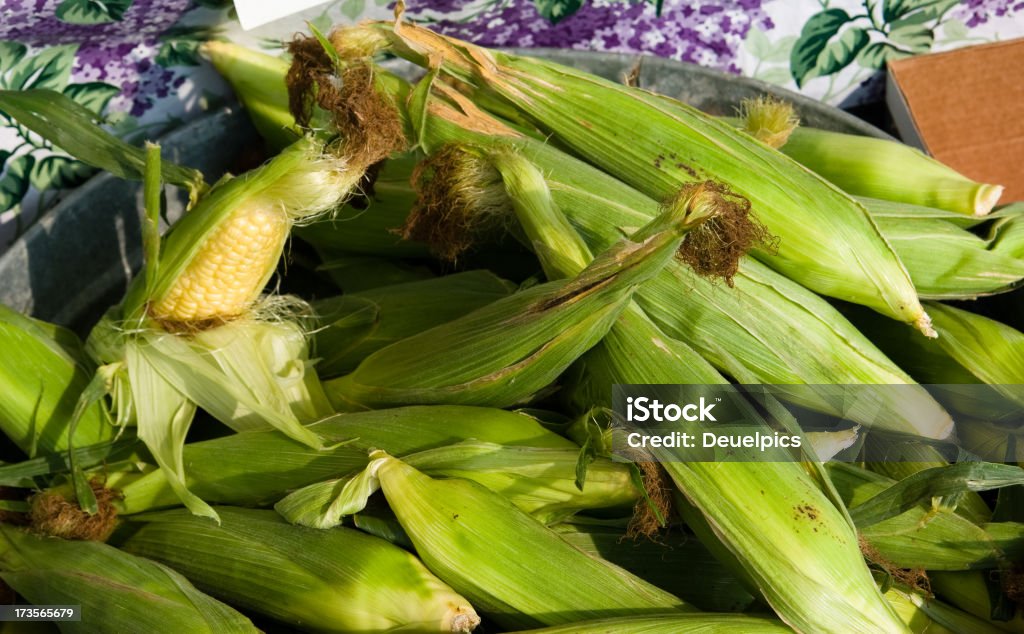 Corn on the table A pile of corn at the Farmer's Market Agricultural Fair Stock Photo