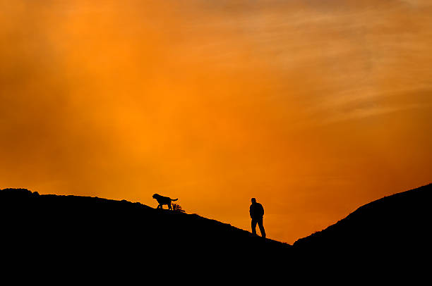 istock Going out with dog on a moody day. 173565785