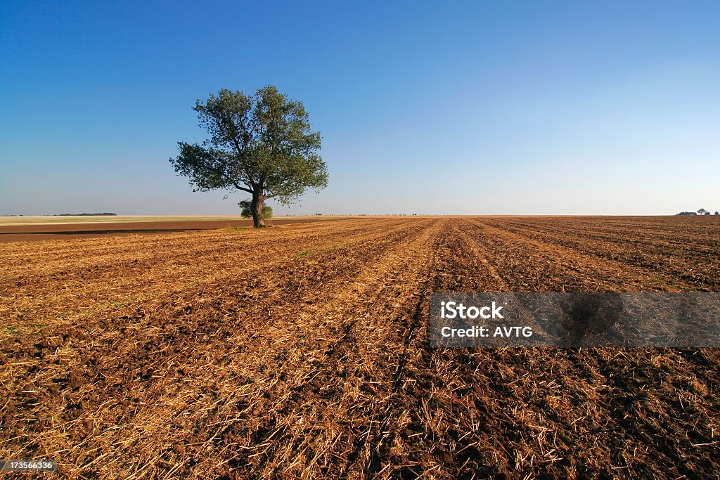 Vacío campos III - Foto de stock de Agricultura libre de derechos