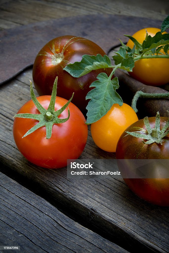 Colorida de tomates com ferramentas de jardim - Foto de stock de Alimentação Saudável royalty-free
