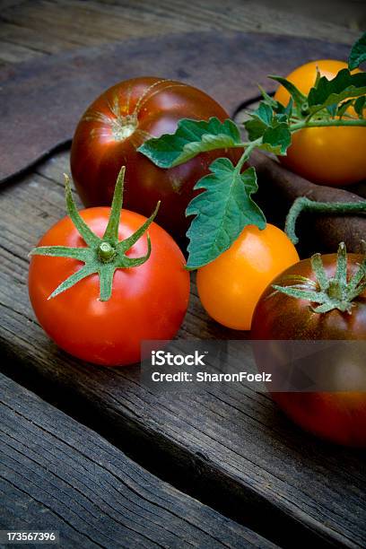 Foto de Colorida De Tomates Com Ferramentas De Jardim e mais fotos de stock de Alimentação Saudável - Alimentação Saudável, Amarelo, Comida e bebida