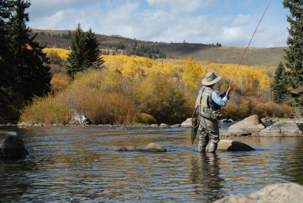 istock Woman Fly-Fishing 173567422