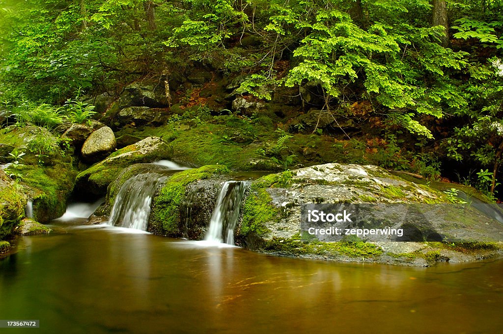 Vier Falls - Lizenzfrei Connecticut Stock-Foto