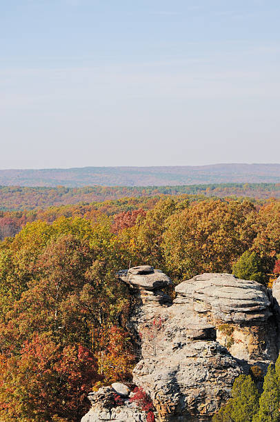 camel rock in garden of the gods, in der wildnis - shawnee national forest stock-fotos und bilder