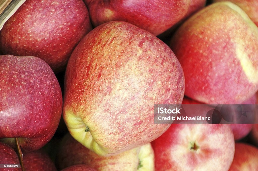 Apfel Pflücken - Lizenzfrei Agrarbetrieb Stock-Foto