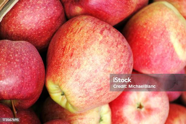 Apfel Pflücken Stockfoto und mehr Bilder von Agrarbetrieb - Agrarbetrieb, Apfel, Baum