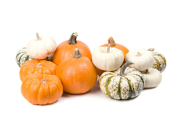 istock Pile of decorative pumpkins 173567967