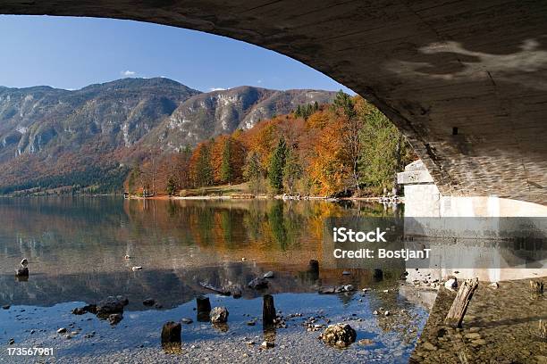Sotto Il Ponte - Fotografie stock e altre immagini di Acqua - Acqua, Alpi, Ambientazione tranquilla
