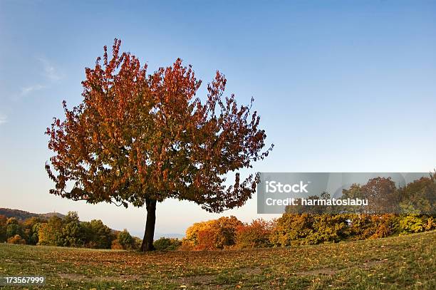 추절 가을에 대한 스톡 사진 및 기타 이미지 - 가을, 계절, 고독-개념