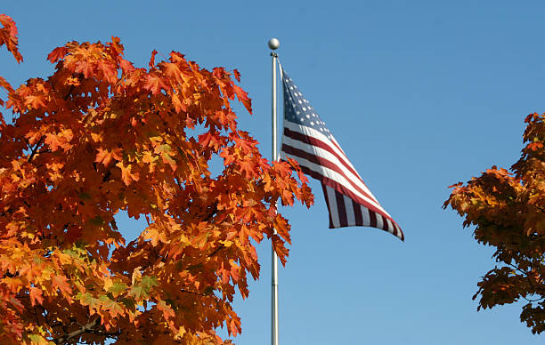 istock American Flag In Fall Colors 173568074