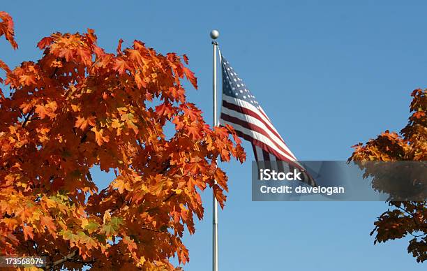 American Flag In Fall Colors Stock Photo - Download Image Now - Autumn, Patriotism, American Flag