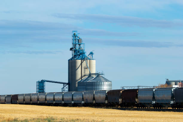 Rural scen in prairies - grain elevator and new train cars on the railway tracks in the autumn field under the blue sky.