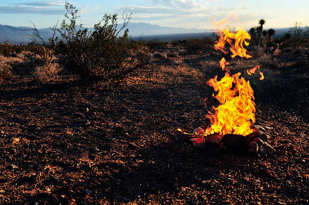 istock Flames in the Desert 173568594