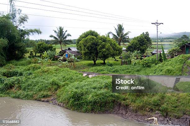 Sudest Asiatico Village - Fotografie stock e altre immagini di Acqua - Acqua, Agricoltura, Ambientazione esterna