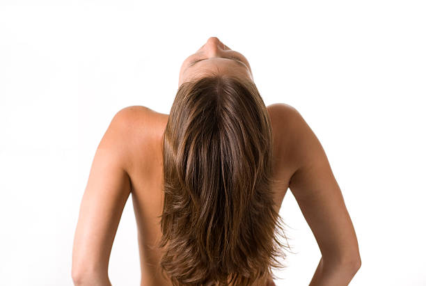 mujeres de atrás - long hair rear view brown hair the human body fotografías e imágenes de stock