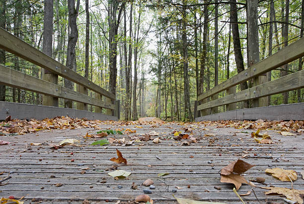 caída de las hojas en un puente - great smoky mountains great smoky mountains national park leaf autumn fotografías e imágenes de stock