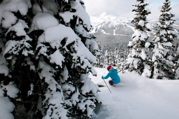 mulher esquiando pó fresco em férias de esqui - skiing winter sport powder snow athlete - fotografias e filmes do acervo