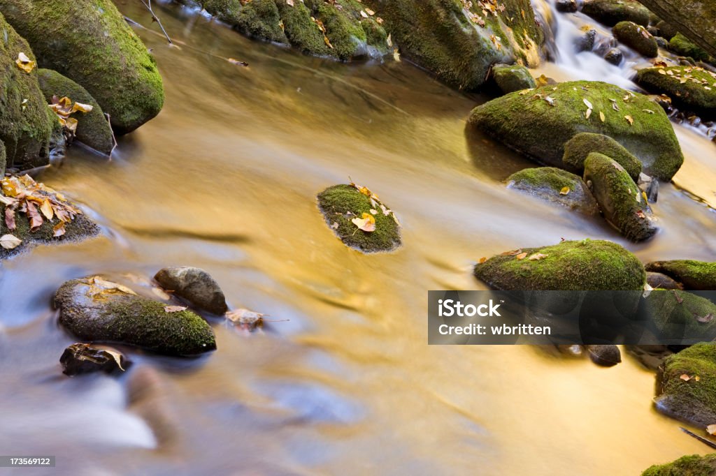 Herbst stream abstrakt-Serie - Lizenzfrei Abstrakt Stock-Foto