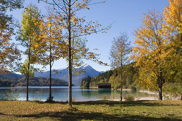 istock Walchensee Lake with Herzogstand 173569144