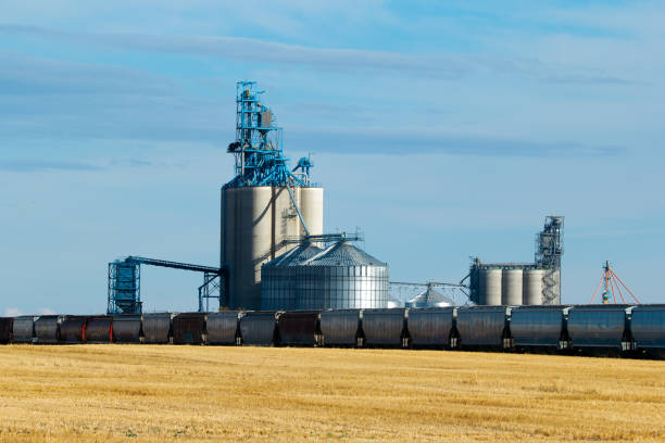 istock Grain elevator and train cars on the railway in prairies in fall. 1735692659