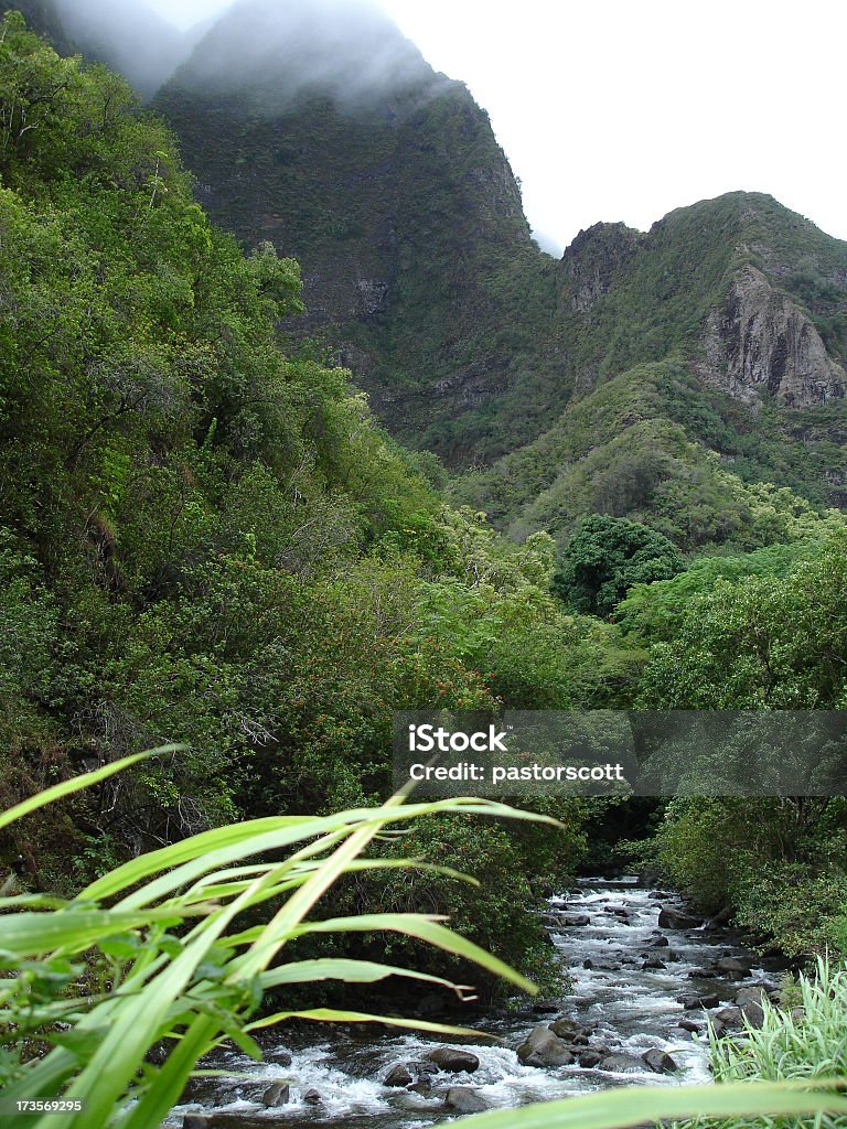 Parque Estatal de Iao Valley em Maui - Foto de stock de Maui royalty-free