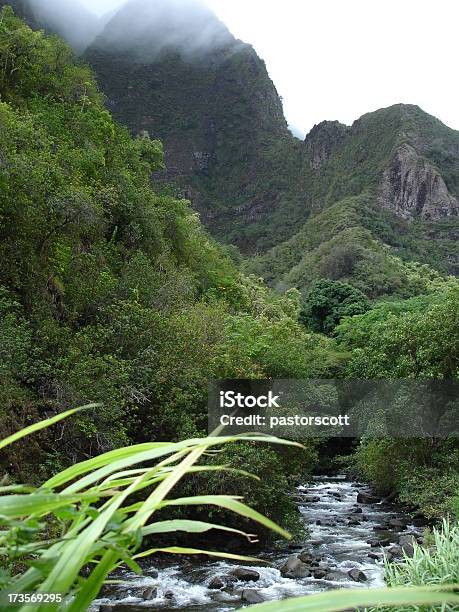 Foto de Parque Estatal De Iao Valley Em Maui e mais fotos de stock de Maui - Maui, Verde - Descrição de Cor, Cena de tranquilidade