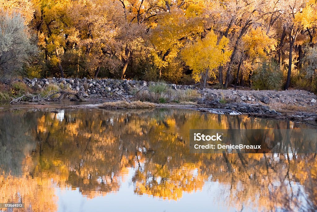 Otoño de reflejo - Foto de stock de Agua libre de derechos