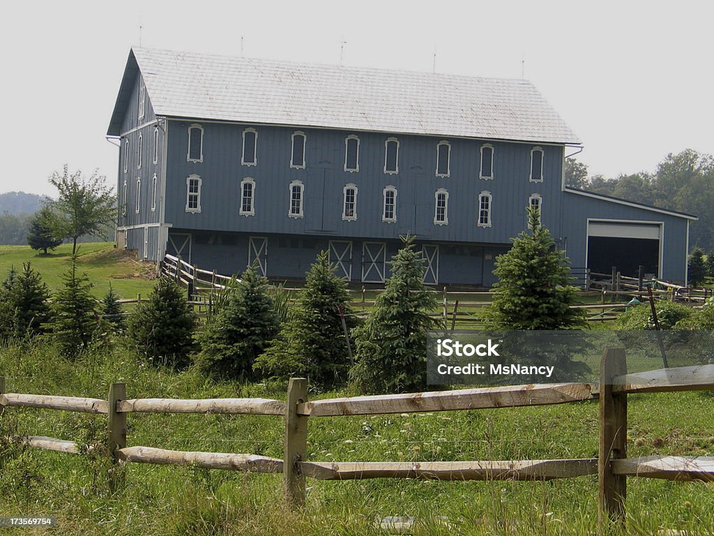 Bella blu Barn - Foto stock royalty-free di Affari