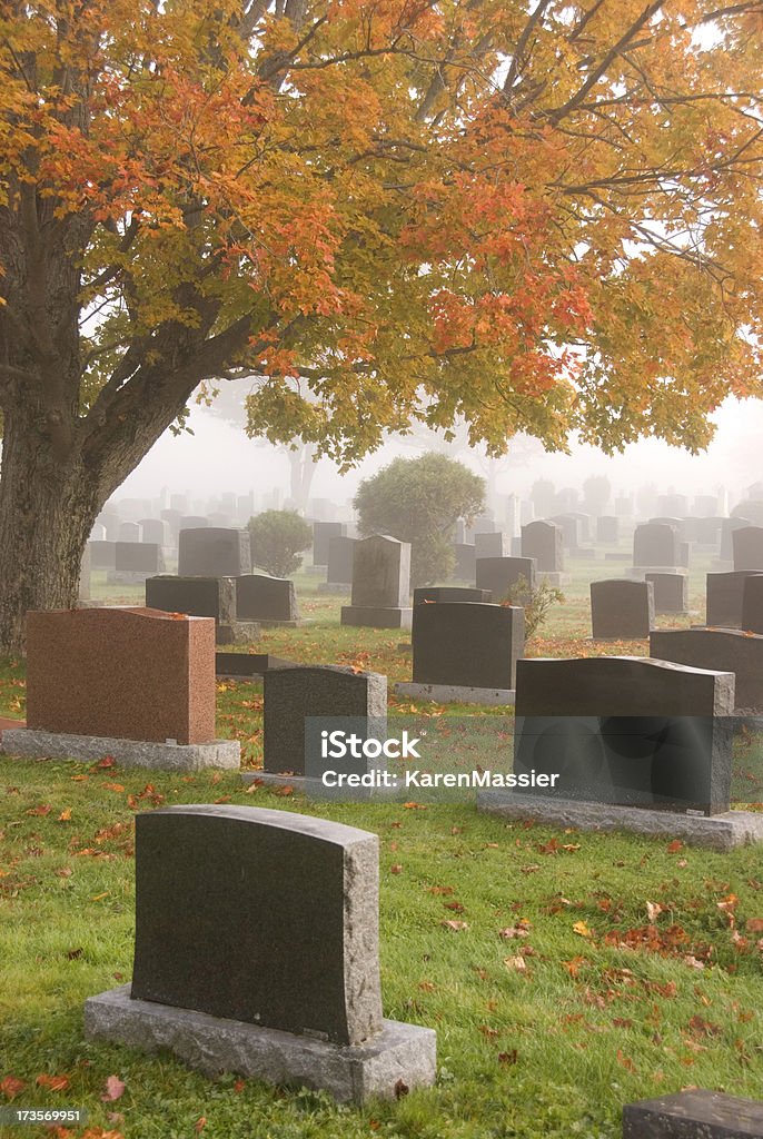 O cemitério - Foto de stock de Beleza royalty-free