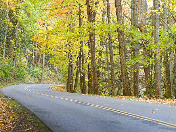 dwa lane jesień (xxl - gatlinburg road winding road tennessee zdjęcia i obrazy z banku zdjęć