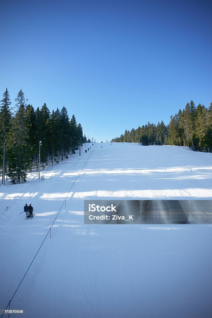 Esquí - Foto de stock de Abeto libre de derechos