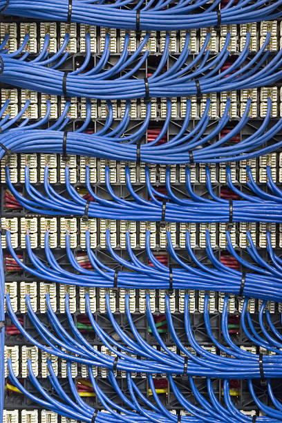 Set of long blue network cables stock photo