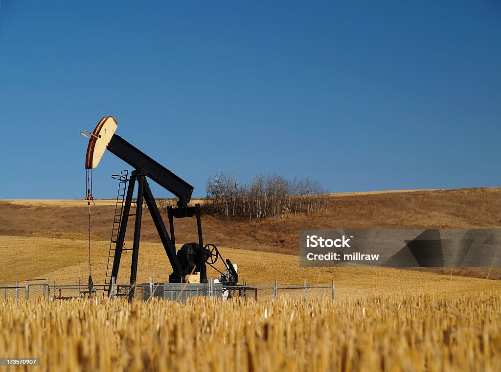 Nero e olio Pumpjack in campo - Foto stock royalty-free di Affari