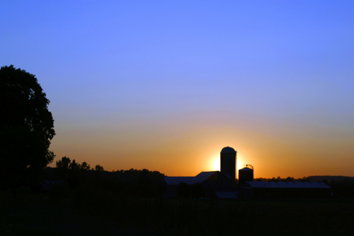 Digital photograph of farm with barn and silo silhouetted in sun setting light on horizon. Graduated blue sky blends into the golden horizon. Zoom into silo for a closer look. Copy ready. We have two other angles of this image in our portfolio.