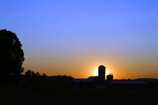 Farm Yard Silhouette stock photo