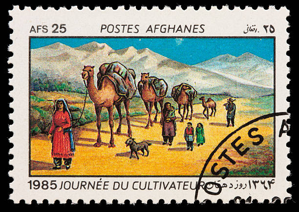 l'afghanistan famille et de chameaux timbre-poste - afghan dog photos et images de collection