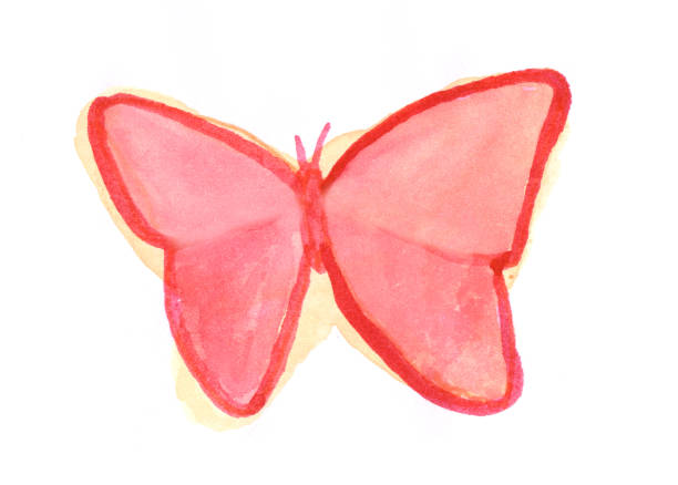 Painted watercolor butterfly stock photo