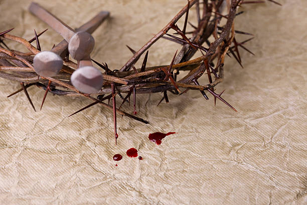 istock Crown of Thorns 173572334