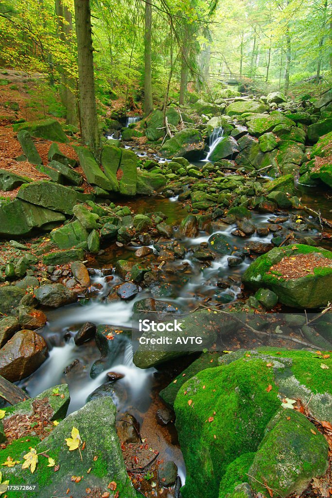 Rocky floresta Stream II - Foto de stock de Amarelo royalty-free
