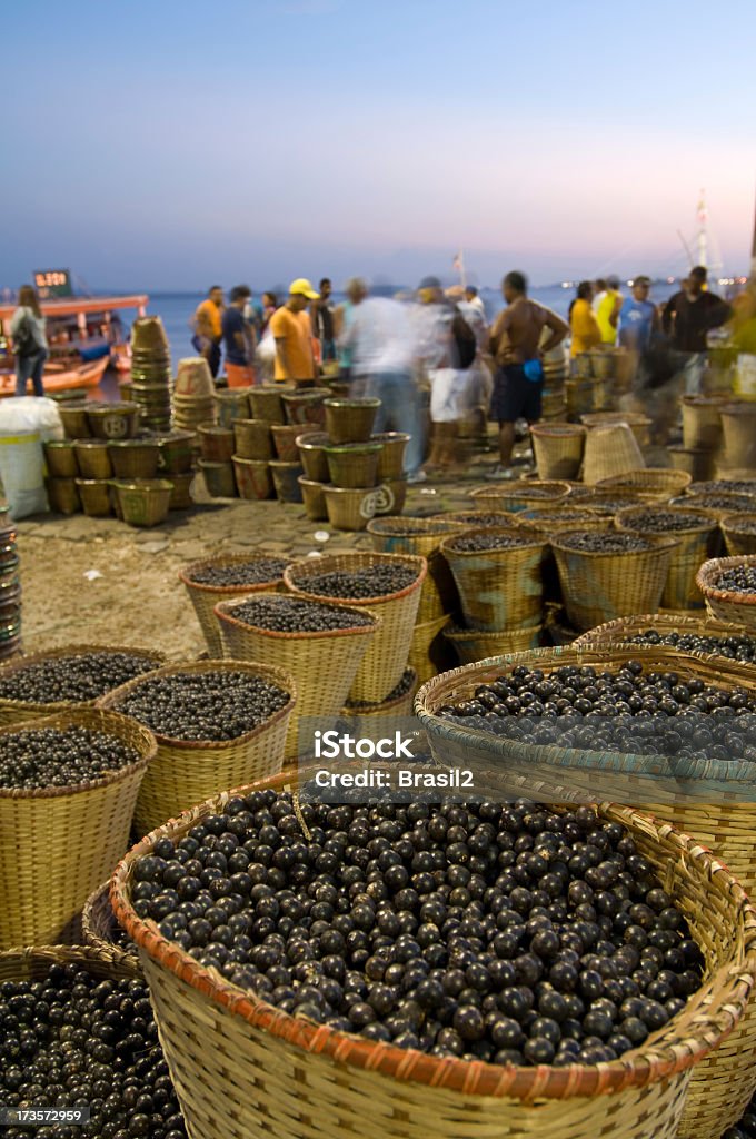 Kohlpalmen-acai - Lizenzfrei Amazonas-Region Stock-Foto