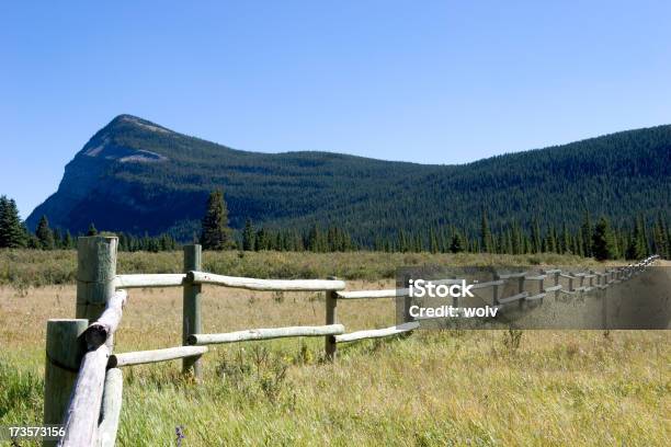 Wielki Granicy 2 - zdjęcia stockowe i więcej obrazów Alberta - Alberta, Drzewo, Bez ludzi