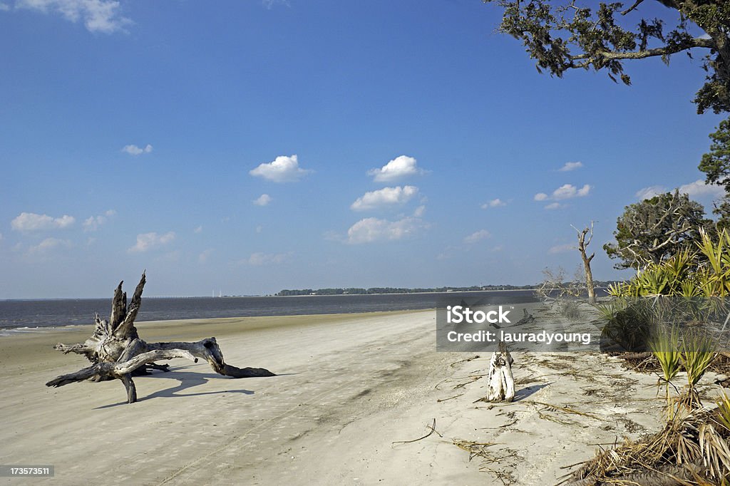 Jekyll Island di legname trasportato dalla corrente spiaggia, Georgia - Foto stock royalty-free di Costa - Caratteristica costiera