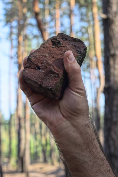 uma mão de homem segura um grande pedaço marrom de pedra - throwing stone human hand rock - fotografias e filmes do acervo