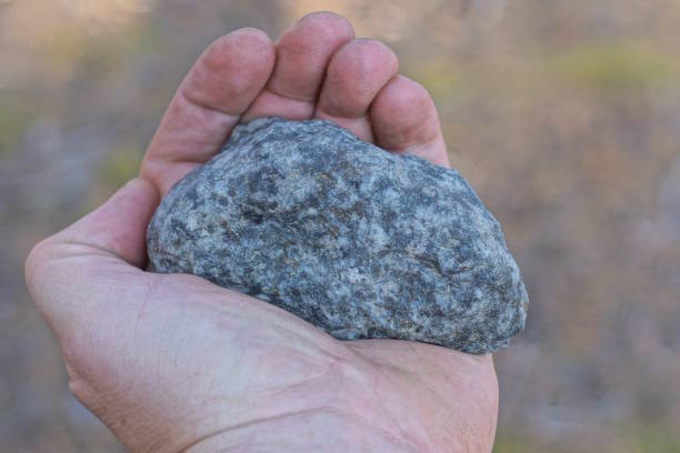 uma mão de homem segura um grande pedaço de pedra cinza em uma rua de verão - throwing stone human hand rock - fotografias e filmes do acervo