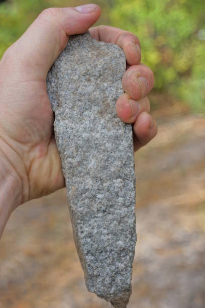 uma mão de homem segura um grande pedaço de pedra cinza em uma rua de verão - throwing stone human hand rock - fotografias e filmes do acervo