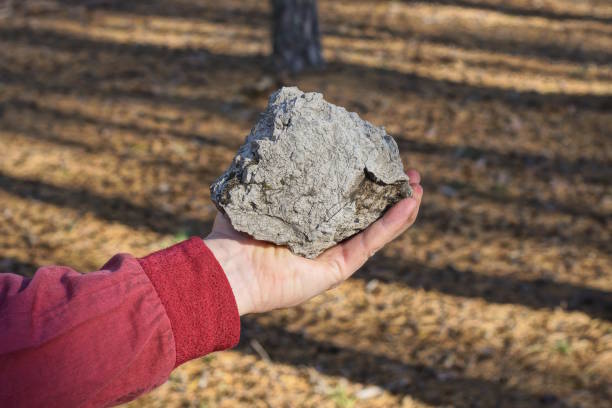 the hand of a man in red clothes holds a large piece of gray concrete stone - throwing people stone tossing imagens e fotografias de stock